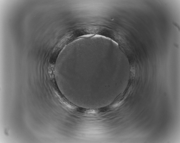 X0000099290237200805301118