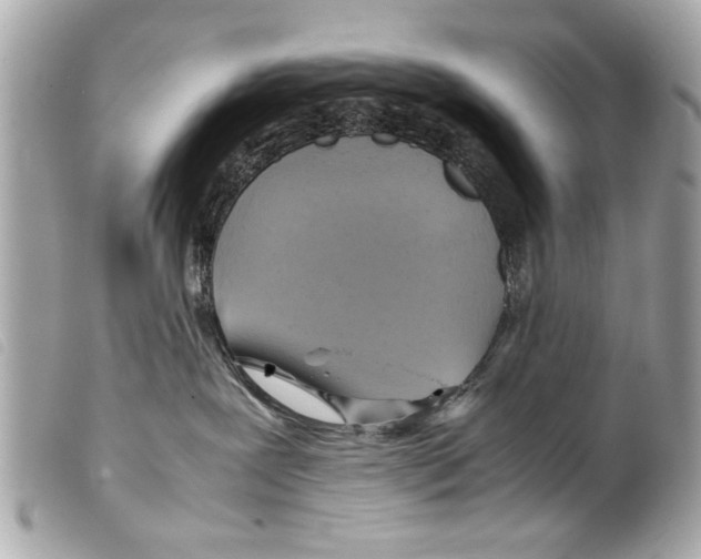 X0000099290239200805301118
