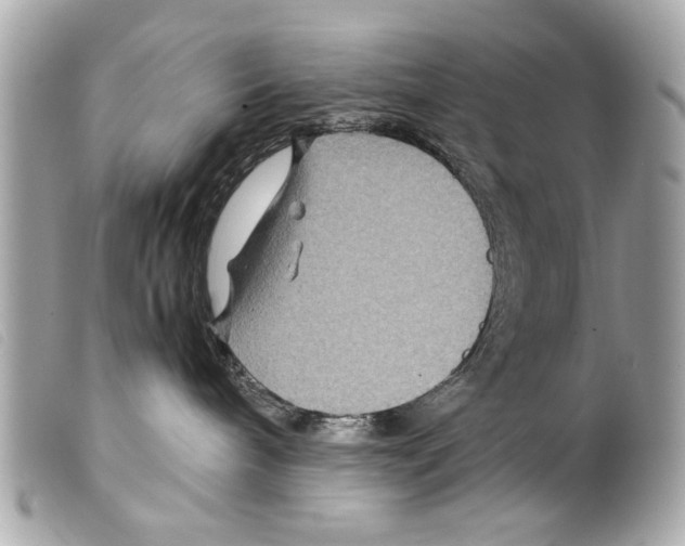 X0000099290240200805301118