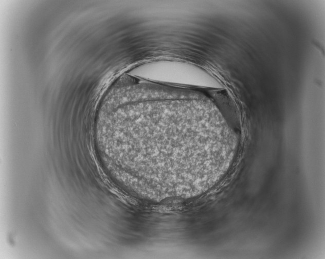 X0000099290241200805301118