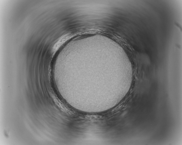 X0000099290242200805301118
