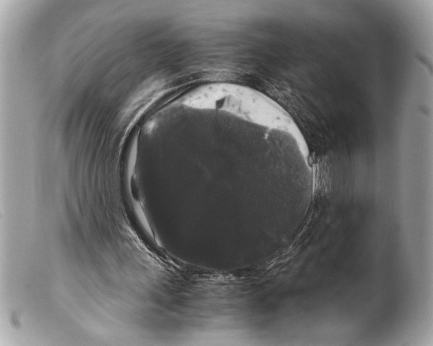 X0000099290243200805301118