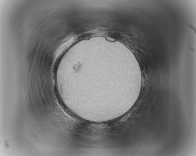X0000099290245200805301118