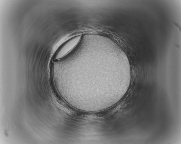 X0000099290246200805301118