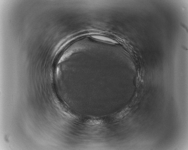 X0000099290247200805301118