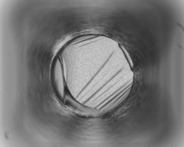 X0000099290248200805301118