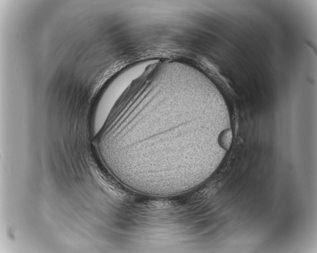 X0000099290250200805301118