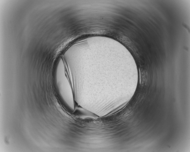 X0000099290252200805301118