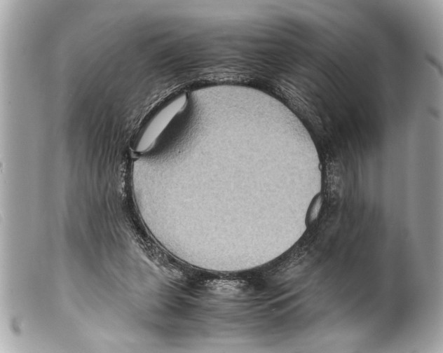 X0000099290255200805301118
