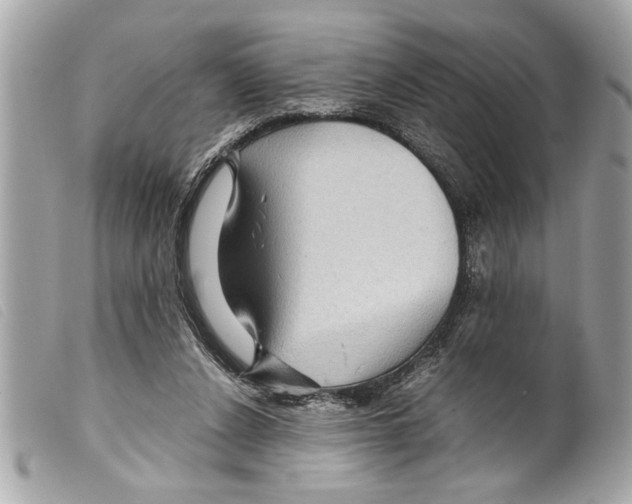 X0000099290256200805301118