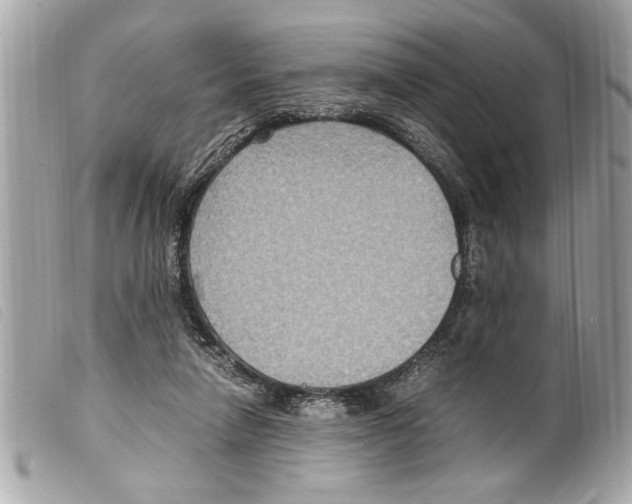 X0000099290258200805301118