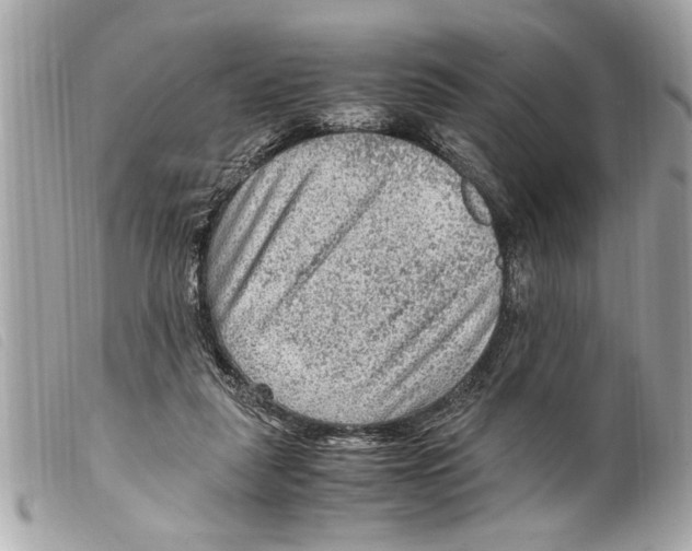 X0000099290259200805301118