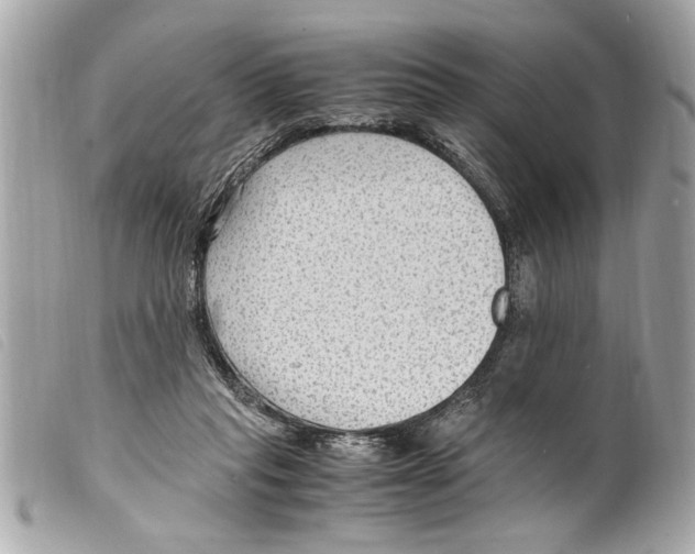 X0000099290261200805301118