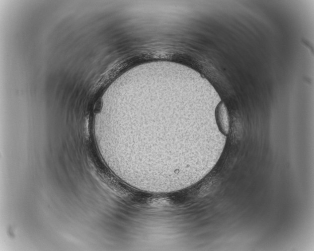 X0000099290262200805301118