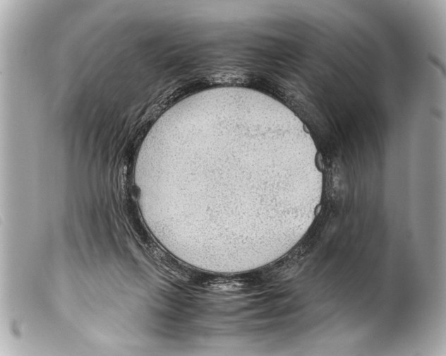 X0000099290263200805301118