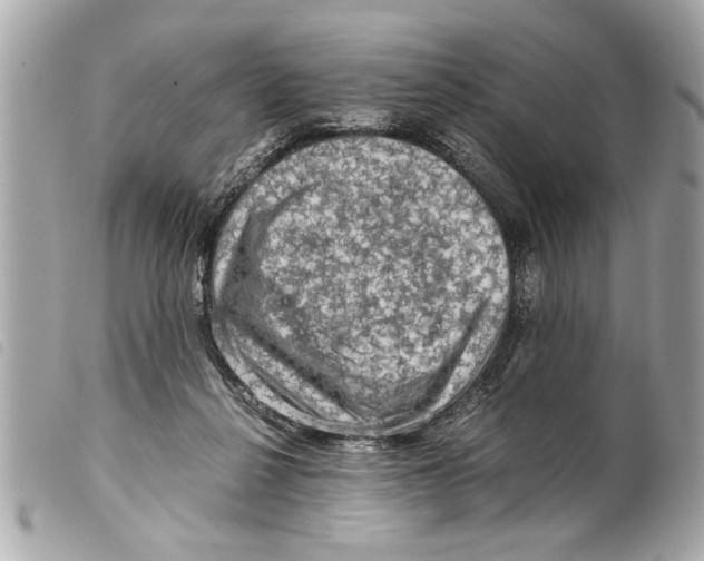 X0000099290264200805301118