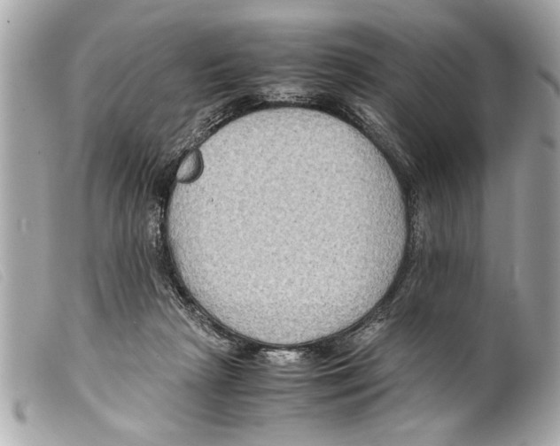 X0000099290265200805301118
