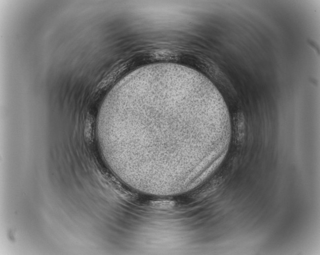 X0000099290266200805301118