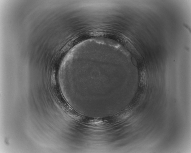 X0000099290267200805301118