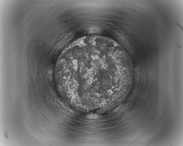 X0000099290269200805301118