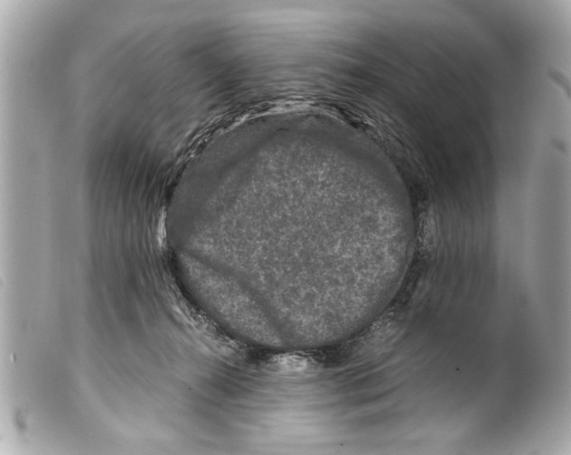 X0000099290272200805301118
