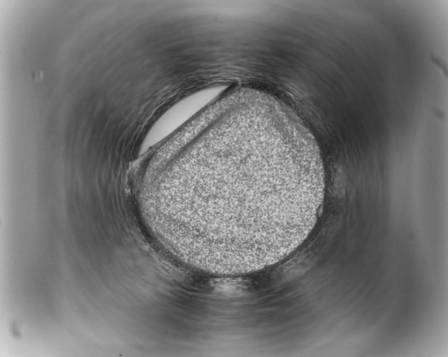 X0000099290273200805301118