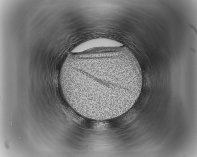X0000099290274200805301118