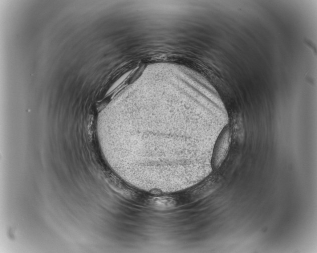 X0000099290275200805301118