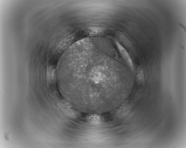 X0000099290276200805301118
