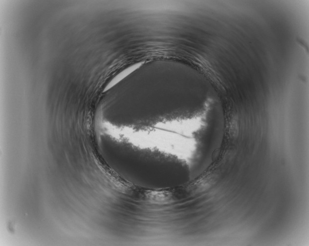 X0000099290277200805301118