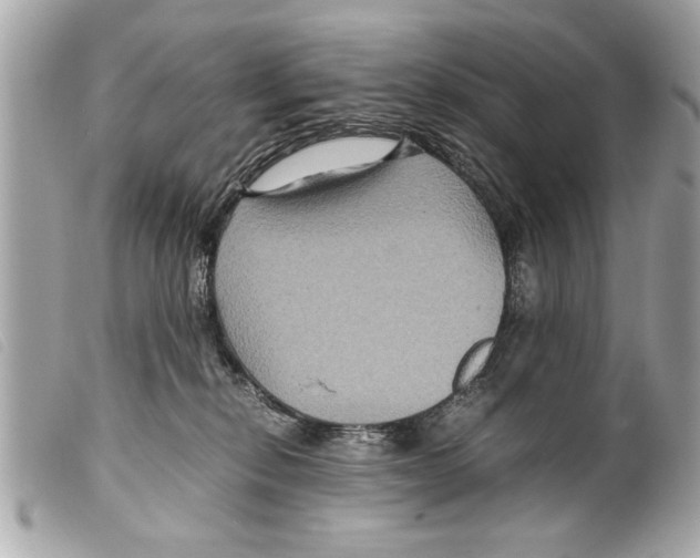 X0000099290278200805301118