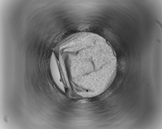 X0000099290280200805301118