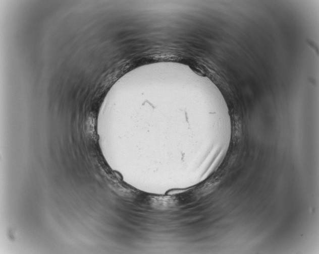 X0000099290281200805301118