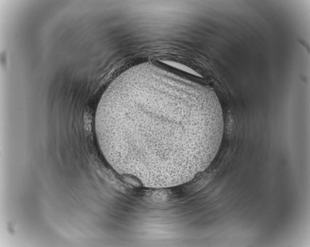 X0000099290282200805301118