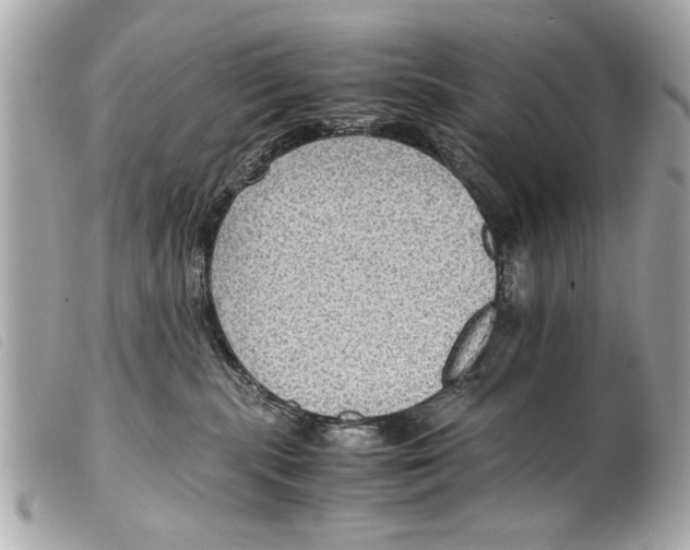 X0000099290283200805301118