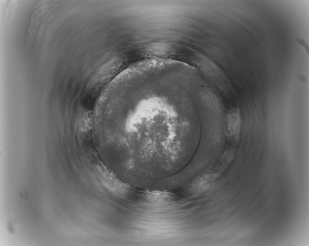 X0000099290284200805301118