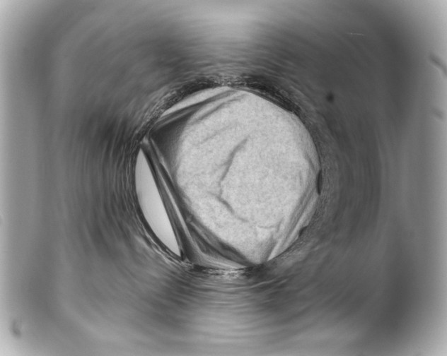 X0000099290288200805301118