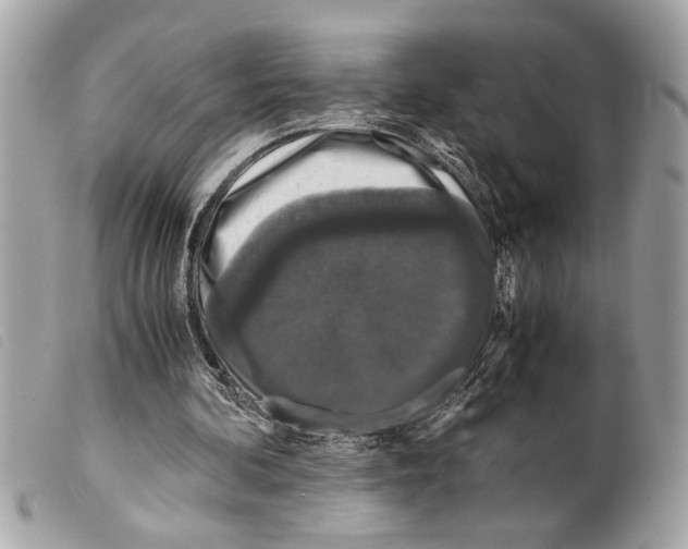 X0000099290292200805301118