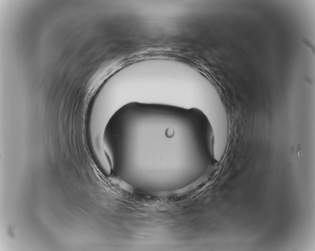 X0000099290293200805301118