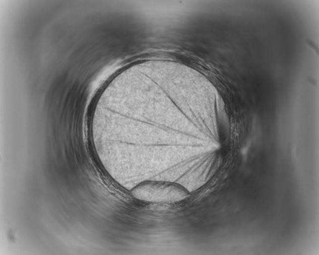 X0000099290294200805301118