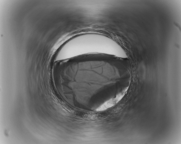 X0000099290295200805301118