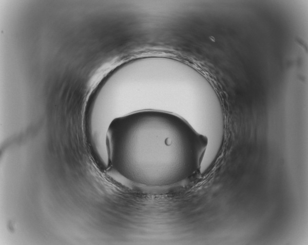 X0000099290296200805301118