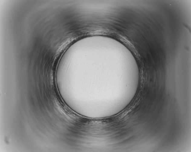 X0000099290298200805301118