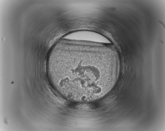 X0000099290299200805301118