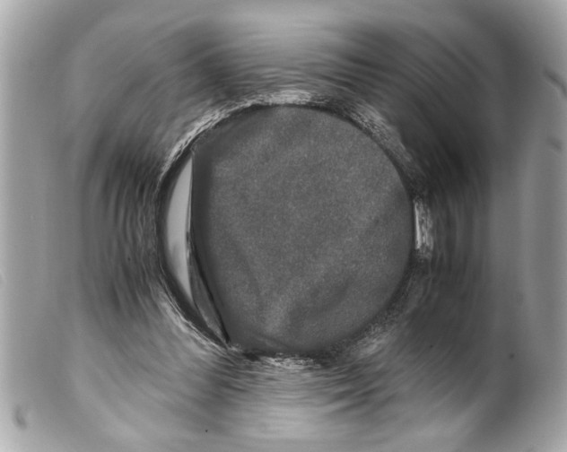 X0000099290300200805301118