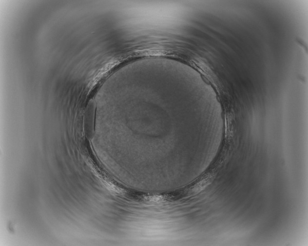 X0000099290301200805301118
