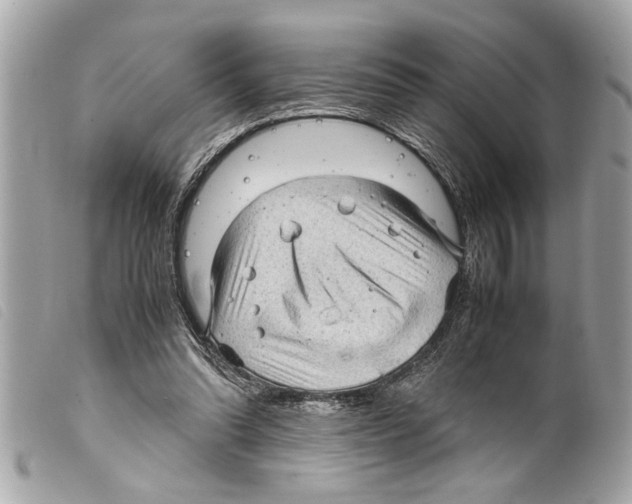 X0000099290302200805301118