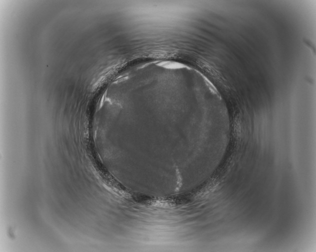 X0000099290303200805301118
