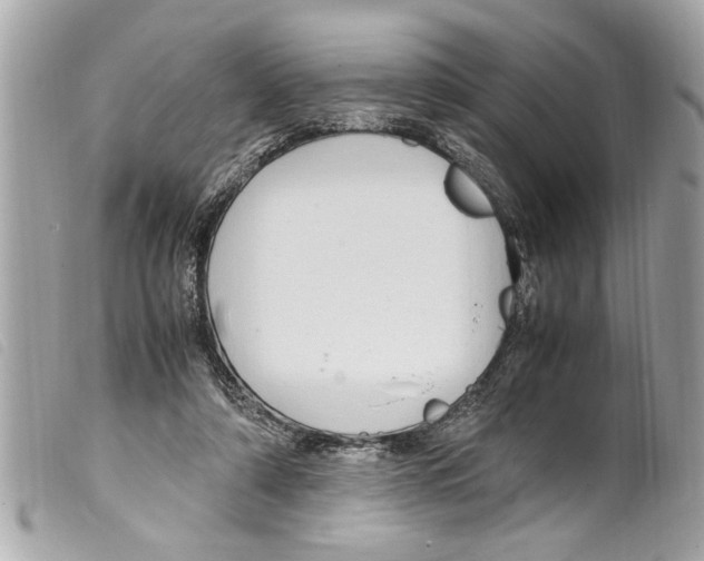 X0000099290306200805301118
