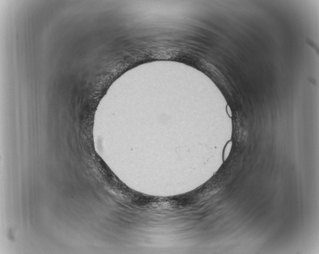 X0000099290307200805301118